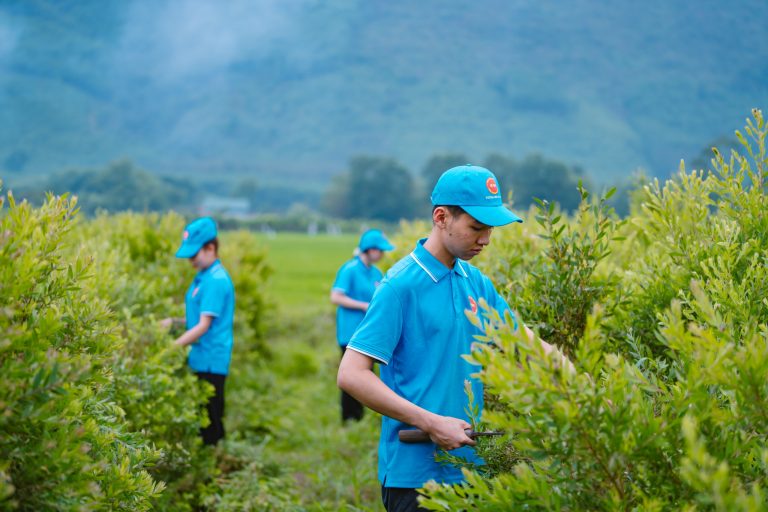 Hình ảnh công ty - Công Ty TNHH Một Thành Viên Sản Xuất Tinh Dầu Bé Thơ